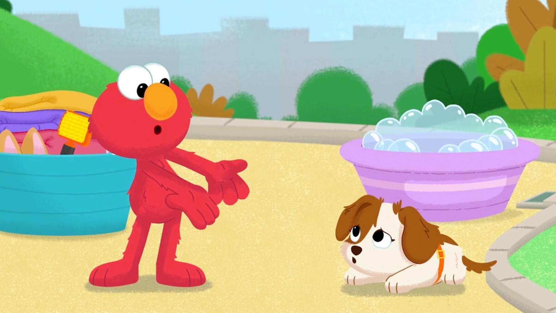 Ziggy's ball goes missing! Elmo and Tango solve the mystery of where Ziggy's ball is hidin