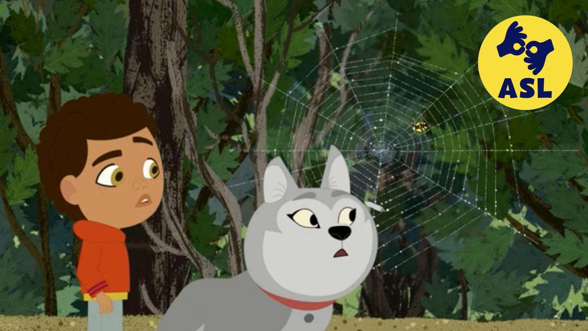 A discovery in the woods prompts the question: “Why do spiders spin webs?"