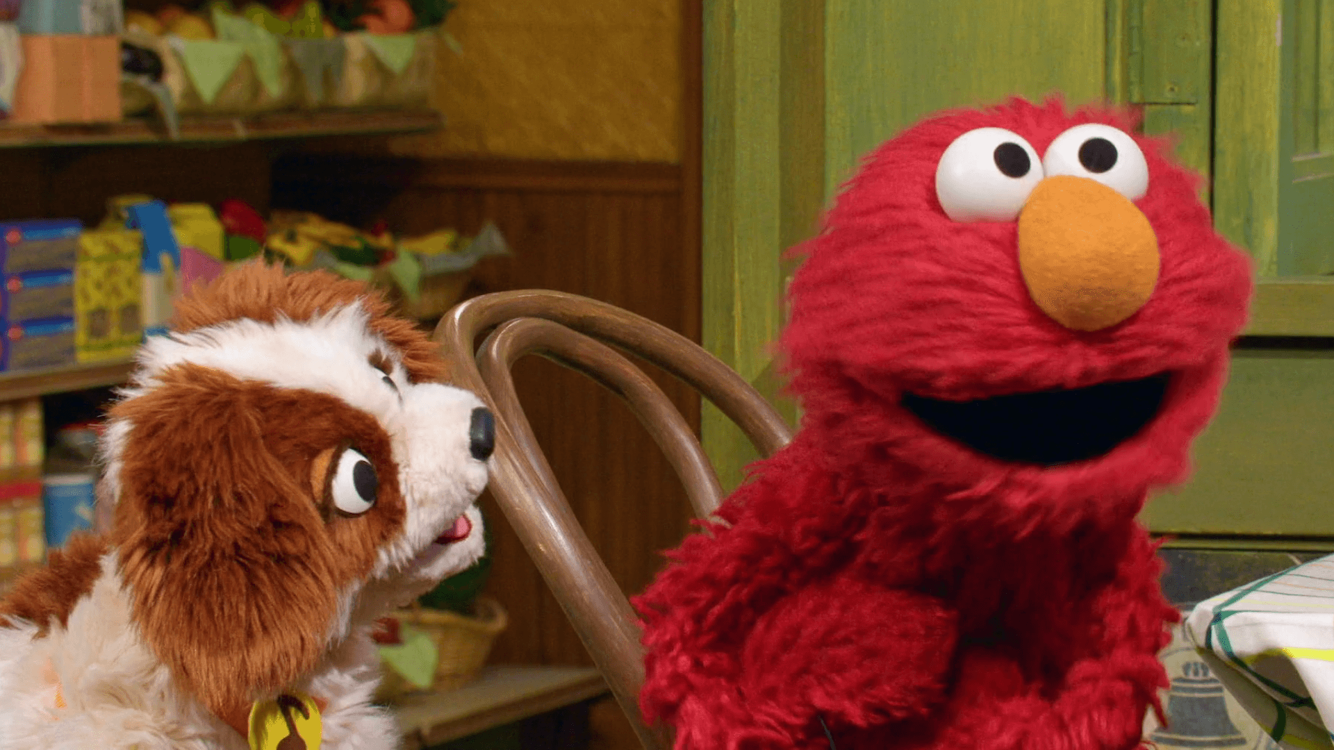 Elmo wants to teach Tango a new trick, but Tango loses focus when Elmo gets too excited.