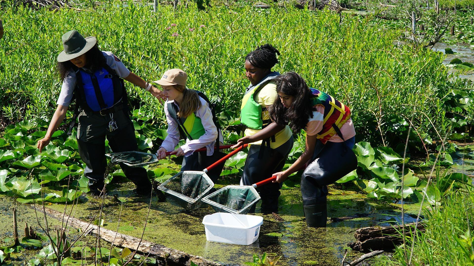 SciGirls on Lake Michigan's sandy shores collect dragonflies to monitor water quality.