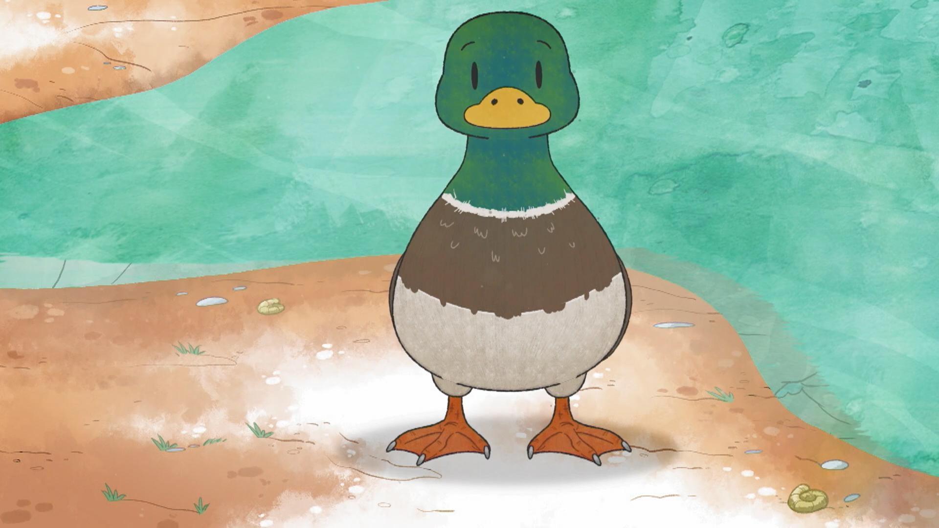 The kids learn about webbed feet. /It's Elinor's Dad's birthday and they're going camping.