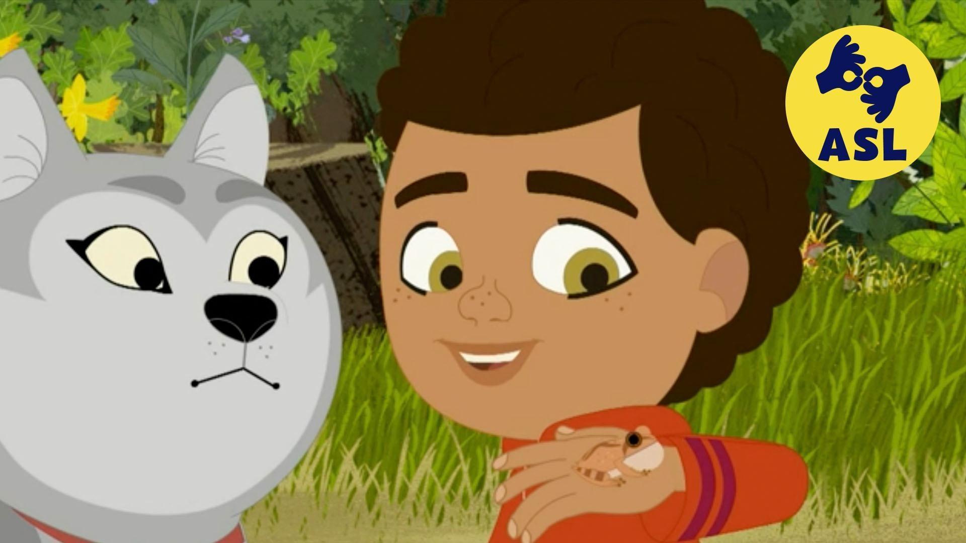 A symphony of sounds greets Rider and Wolfie as they walk through the woods in spring.