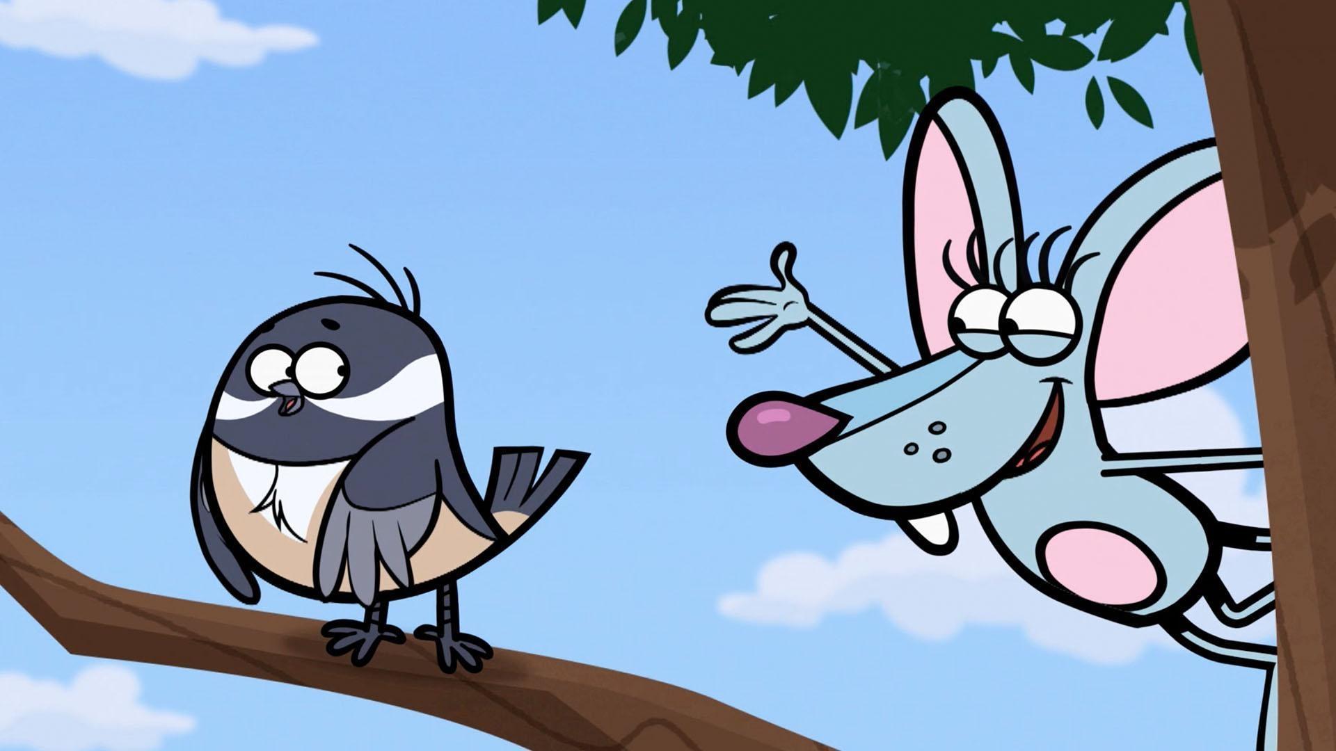 Hal and his pals discover many different patterns outside in nature.