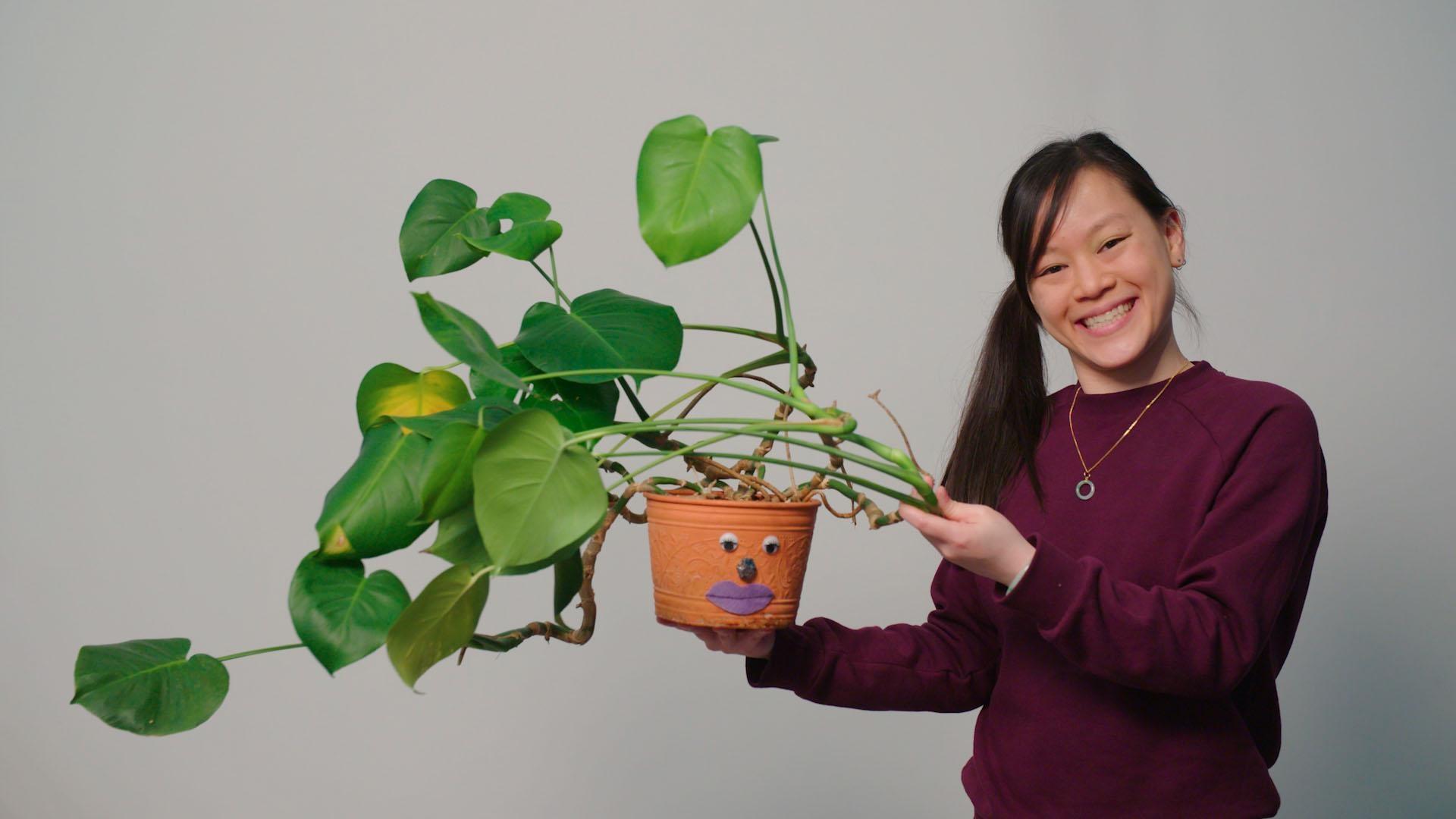 Join Katie and guest, Sabine, as they create some funky leafy hairstyles for their plants!