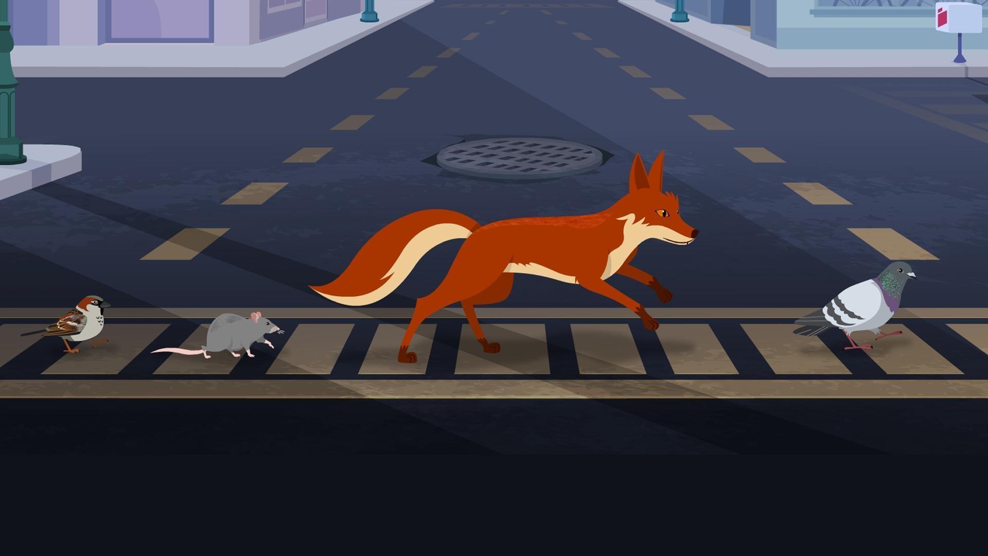 Why would a wild animal ever want to live in a big city?  Plum will strum the answer!