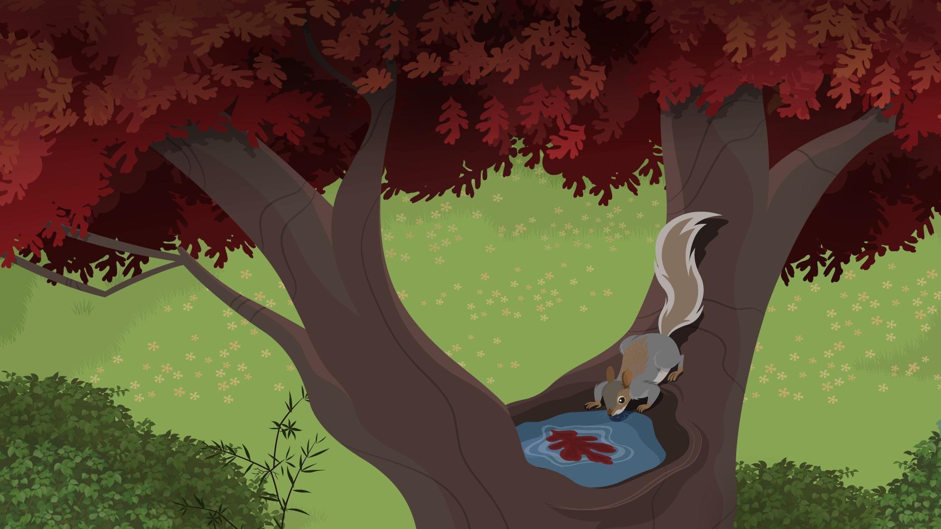 There’s water hiding everywhere – if you just know where to look!