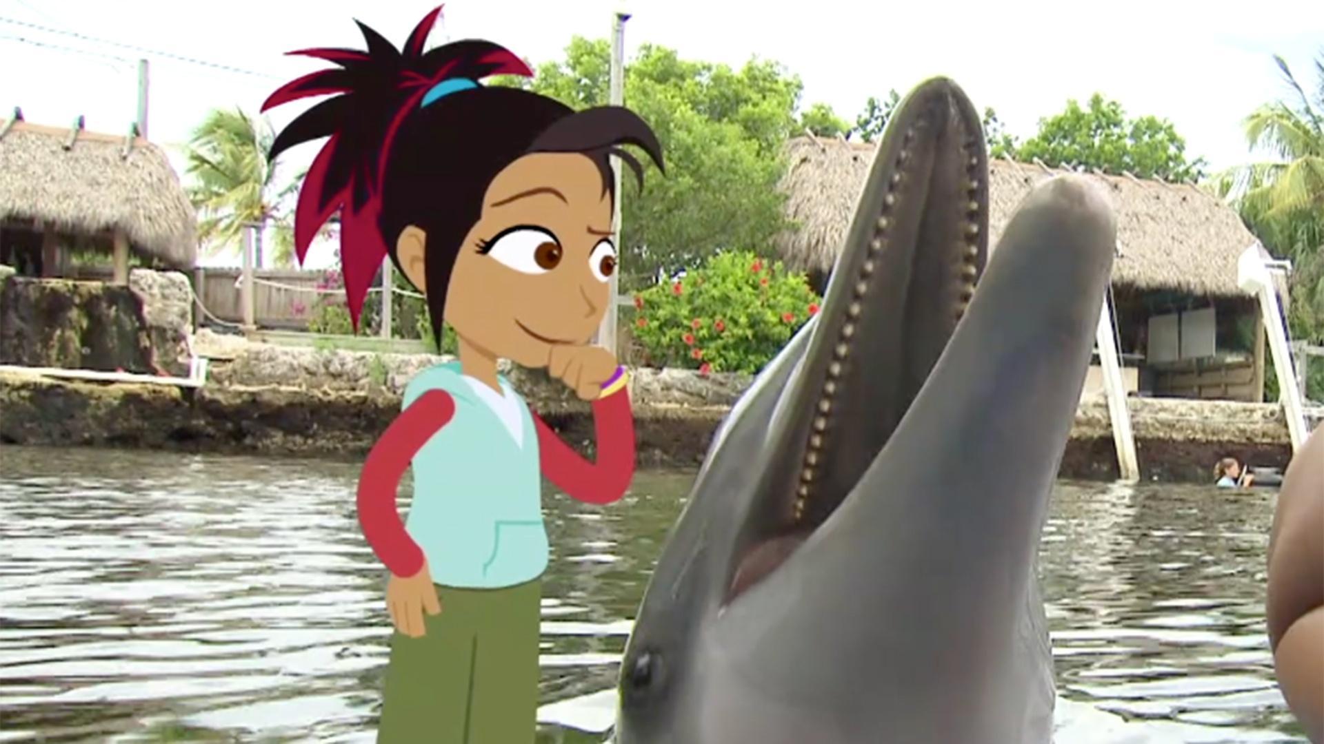 Izzie, Serena and Ceci bond with bottlenose dolphins.