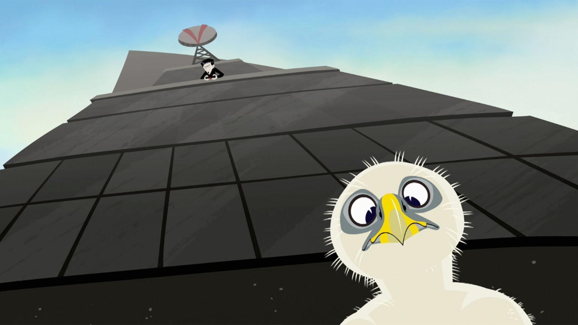 The Kratts are itching to fly with the world's fastest animal, the Peregrine falcon.