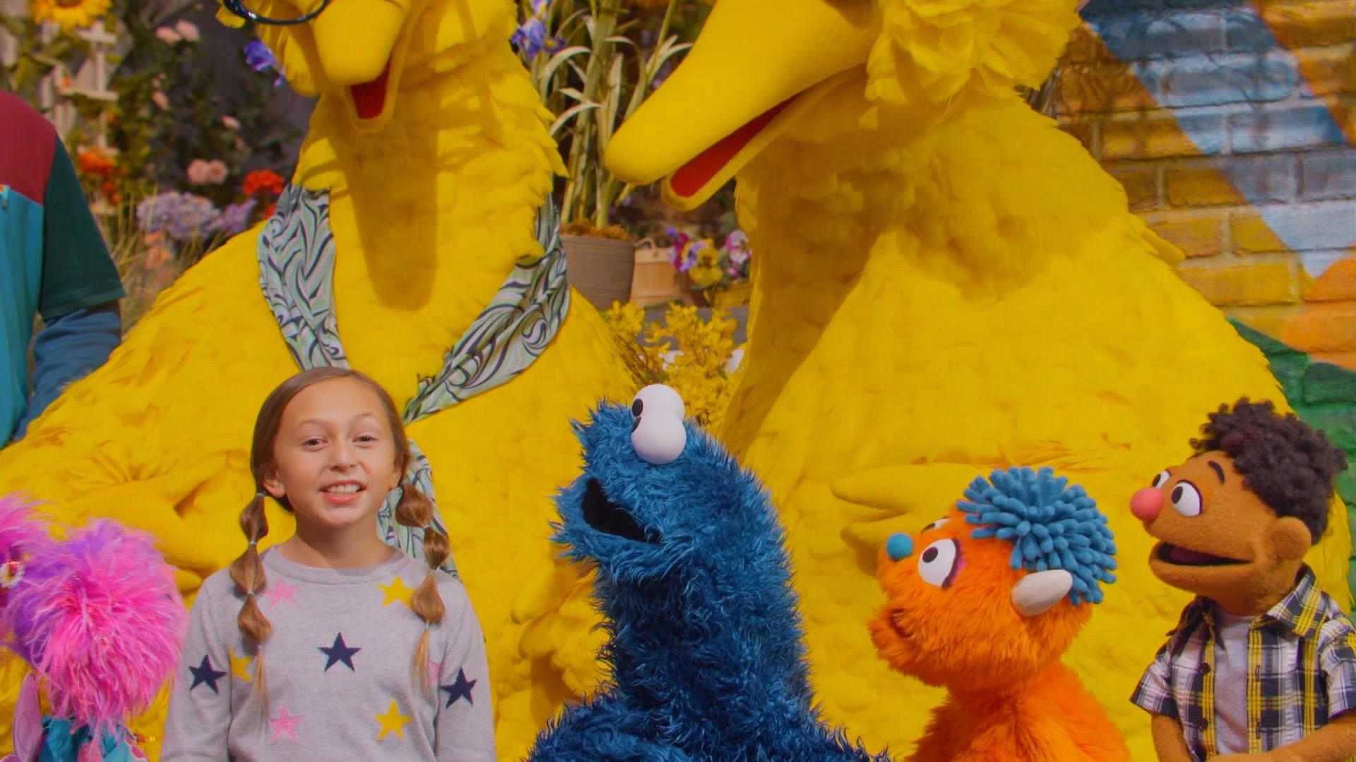 Learn what makes a community.